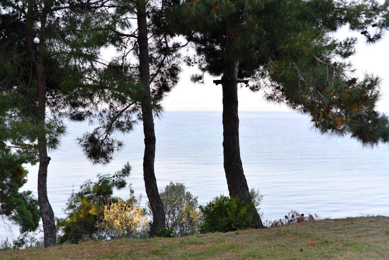Summerday Villa Private Beach Nea Irakleia Exterior photo