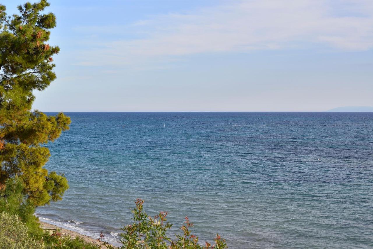 Summerday Villa Private Beach Nea Irakleia Exterior photo